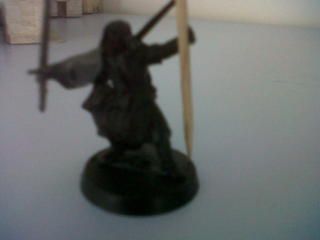 Pictures from haradrim bannerbearer