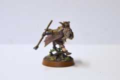 Radagast the Brown