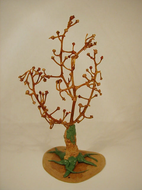 Stem Of Grapes